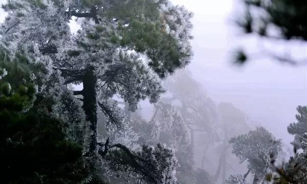 聪明蜗牛千问, 坐飞机可以领手提袋吗?等你来解答!